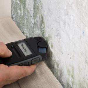 Omaha Mold Evaluation