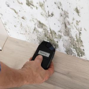 Omaha Mold Assessment